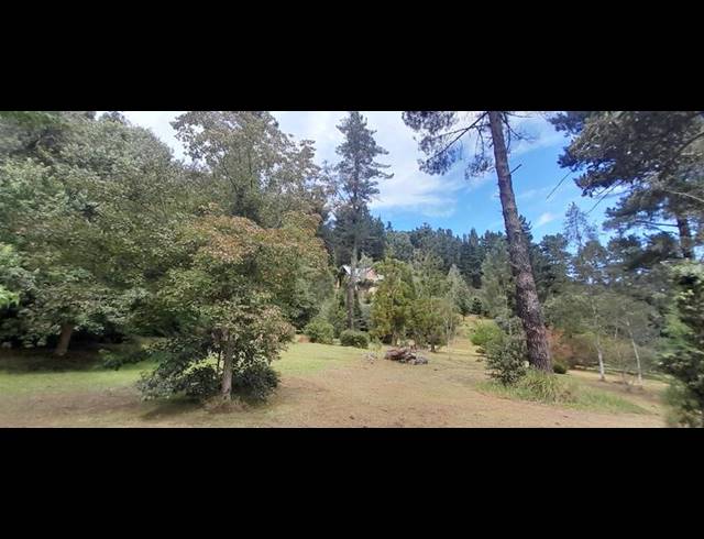 FARM FOR SALE IN HOGSBACK
